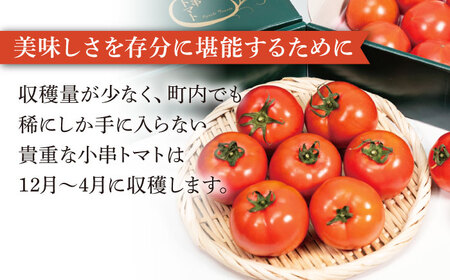 【6回定期便】小串トマトの濃縮150％ピューレ「OGUSHI」15本セット[OBH011]