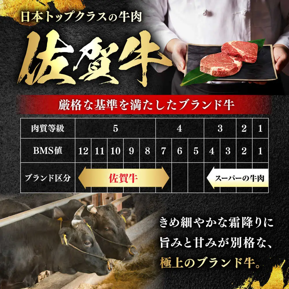 佐賀牛 赤身 A5 ヒレステーキ  400g ヒレ[FDR001]