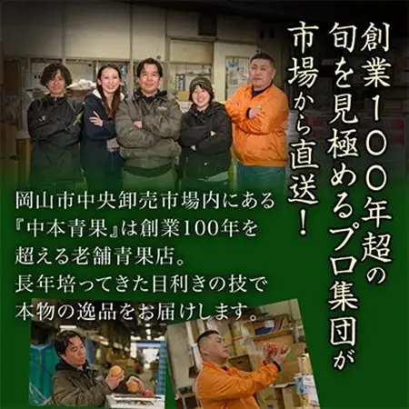 【発送月固定定期便】B 岡山県産 シャインマスカット(晴王)・あたご梨・ニューピオーネほか全3回【配送不可地域：離島・北海道・沖縄県】【4000245】