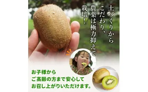 厳選 キウイ フルーツ 0.5kg+250g（傷み補償分） / キウイフルーツ 高級 和歌山 ※2026年11月中旬より2027年4月下旬頃順次発送予定 ※北海道・沖縄・離島への配送不可 【ikd505-p-0d5A】