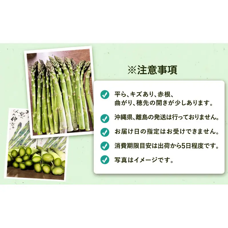 ［武田農園とれたて直送］2027年春～発送 訳あり グリーンアスパラ サイズ混合 約2kg ご家庭用 やわらかくて抜群に甘い！北海道 富良野産 ( アスパラガス アスパラ 野菜 新鮮 産地直送 先行予約 限定 )