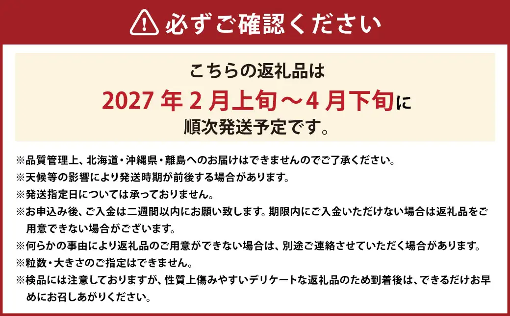 大粒あまおう 2パック 合計500～540g  【2027年2月上旬～4月下旬発送予定】 あまおう 苺 いちご 果物 果実 フルーツ 大粒 国産 九州 福岡県 香春町 冷蔵