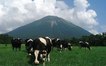 【大山乳業】白バラのチーズギフト （3種セット） 大山乳業 大山チーズ チーズ チーズギフト 白バラ チーズセット クリームチーズ チーズ食べ比べ さけるチーズ 白バラ牛乳 倉吉 倉吉市