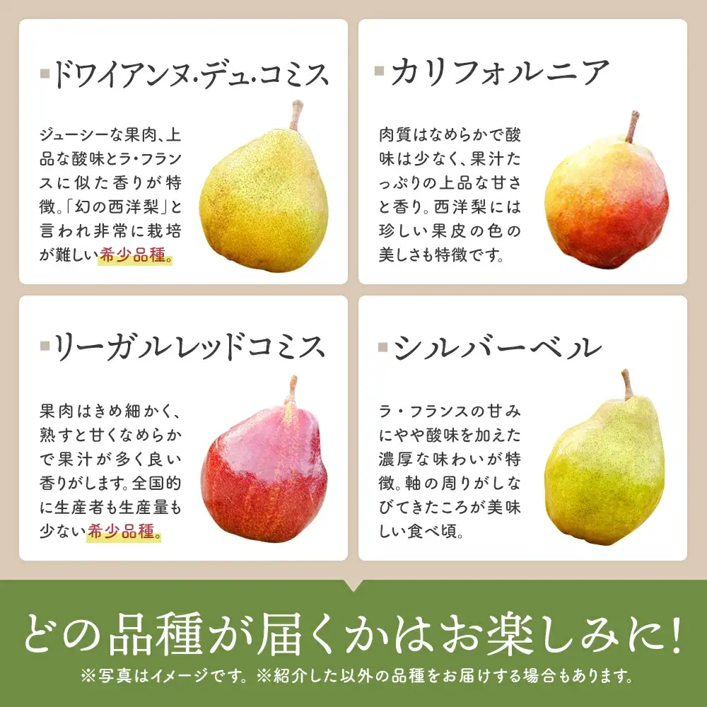 【先行予約】西洋梨詰合せ約2.5～3kg（7～8個） 蔵王産　【04301-0277】