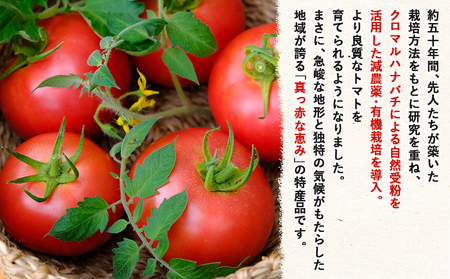 ＜標高600ｍの高地で減農薬・有機栽培の遊子川産 桃太郎トマト 約3kg＞ 国産 とまと 野菜 トマト 3キロ 西予市産 愛媛県産 産地直送 食べて応援 特産品 遊子川ザ・リコピンズ 愛媛県 西予市【常温】『令和8年8月～10月の間に最短10営業日以内に順次発送予定』SYR0007