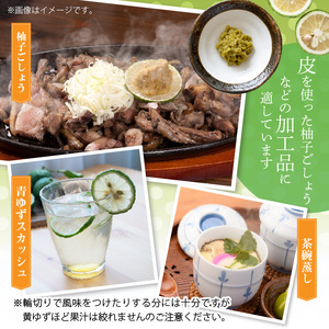 訳あり 青ゆず 生果実 約2kg_MM0207