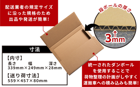 抜き式ケース（A4対応） 20枚 クリックポストサイズ【日用品 日用品 日用品 日用品 日用品 日用品】 ta-0053