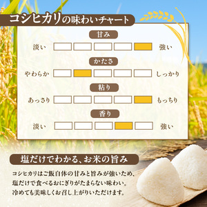 【令和8年産 先行予約】農産物検査員お奨め 魚沼産こしひかり（精米）6kg（3kg×2）米 コメ こめ お米 おこめ 白米 コシヒカリ 新潟県産 人気 お取り寄せ