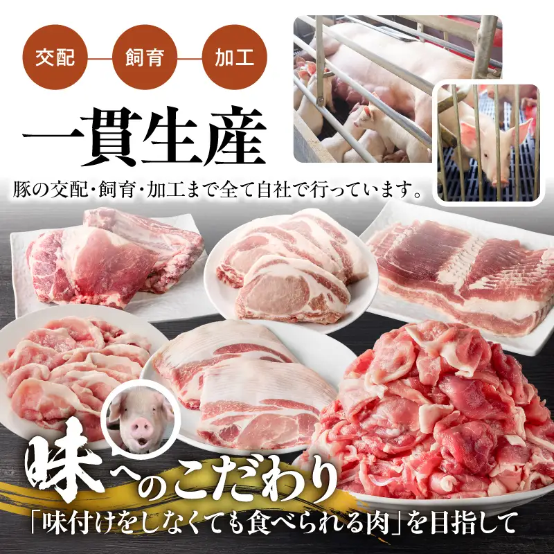 2296-1 鹿屋産 さかし豚 5種盛り 4.55kg C KN079-001-03 肉 豚肉