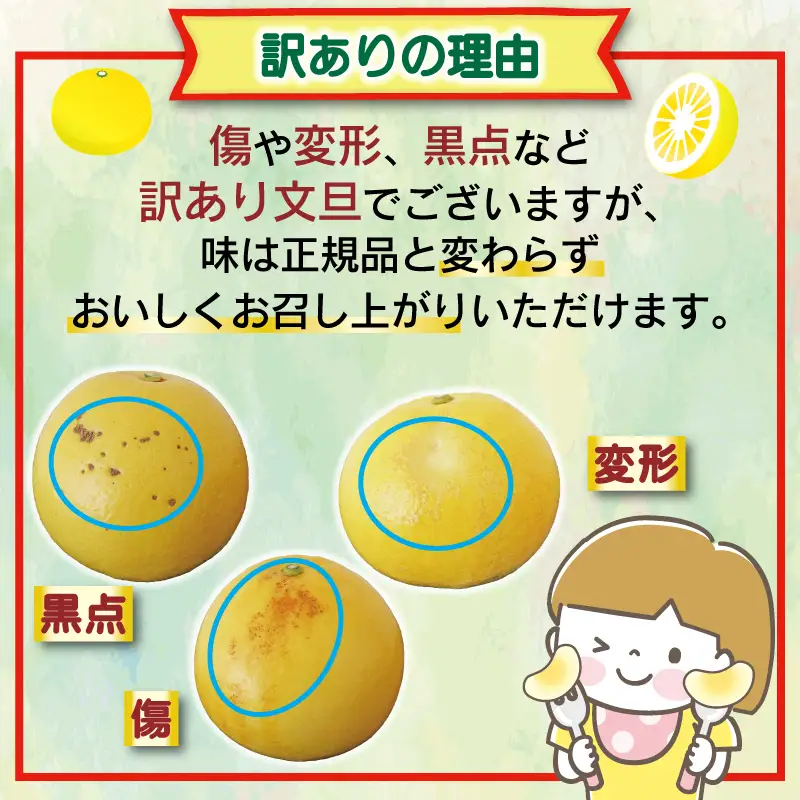 羽賀農園の土佐文旦 10kg家庭用（小玉） 土佐文旦