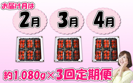 【3回届く！（2月～4月）】福津産『空飛ぶあまおう』約1,080g×3回定期便【スカイフローラファーム】[H7054]
