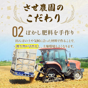 特別栽培米コシヒカリ 2025年11月発送 令和7年産 新潟 新米 新米 新米 新米 新米 新米