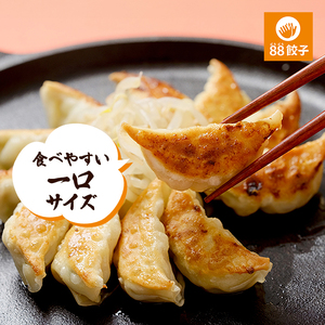 餃子 浜松餃子 88ぱちぱち 40個 食べ比べ 餃子
