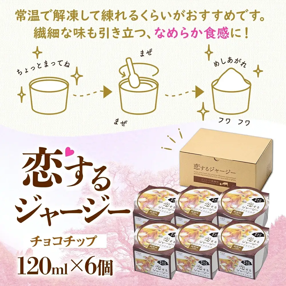 【ジェラート醍醐桜】恋するジャージーチョコチップ 6個セット / 岡山 真庭 【nhss017-01】