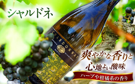 ワイン 【贈答用】飲み比べセット カベルネロゼ×シャルドネ 750ml×各1本  [AICS088]