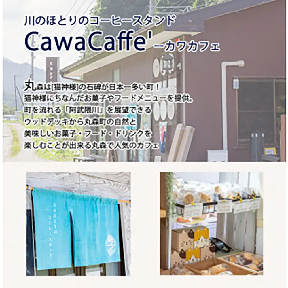 ねこの形がかわいい！猫神様のケーキ缶 6缶セット（3種×2缶）フローズンケーキ【0610501】