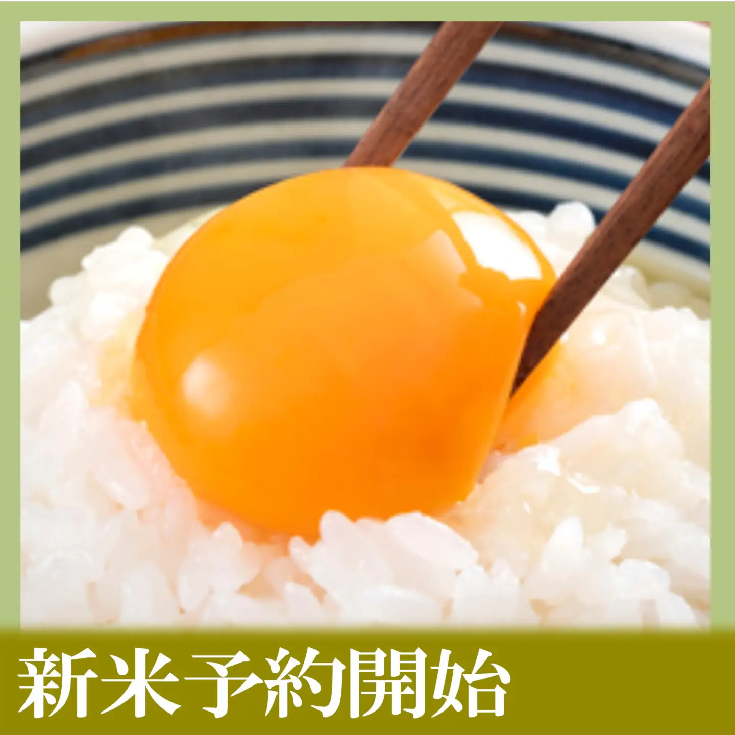 【令和8年　新米予約】定期便６ヶ月【無洗米】10kg南魚沼しおざわ産コシヒカリ｜無洗米【2026年10月上旬から1ヶ月以内に順次発送予定】【2026年10月上旬から1ヶ月以内に順次発送予定】