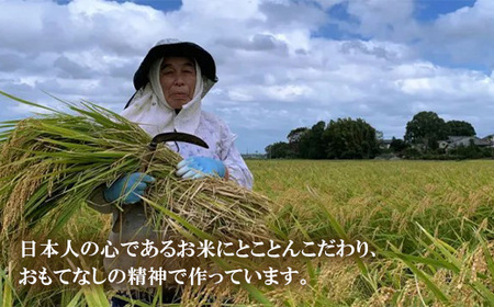 644 米粉シフォンケーキ 玄米 直径約17㎝ 無添加【米蔵高安】
