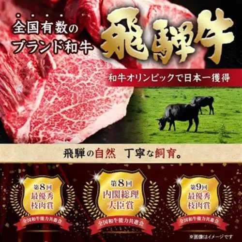 【2ヵ月毎定期便】飛騨牛 シャトーブリアン750g【冷蔵便】A4～A5等級 黒毛和牛 全6回【配送不可地域：離島】【4070275】