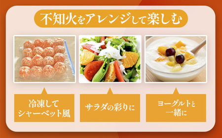 不知火 デコポン 同品種 約5kg 日本フルーツ株式会社 熊本県 荒尾市 《2月上旬-4月上旬頃出荷》 デコポン 果物 秀品 フルーツ スイーツ デザート ギフト ご贈答