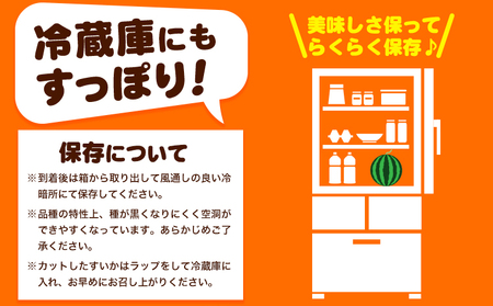 紀州和歌山産 小玉スイカ 「ひとりじめ」 1玉