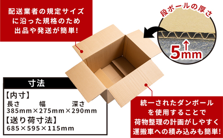 梱包用ダンボール 10０サイズ 10枚 - 国産 段ボール 荷物 発送 引っ越し 便利 収納 整理 フリマサイト 通販 配送 梱包 郵便 規定サイズ 防災 タケナカダンボール 高知県 香南市 ta-0073