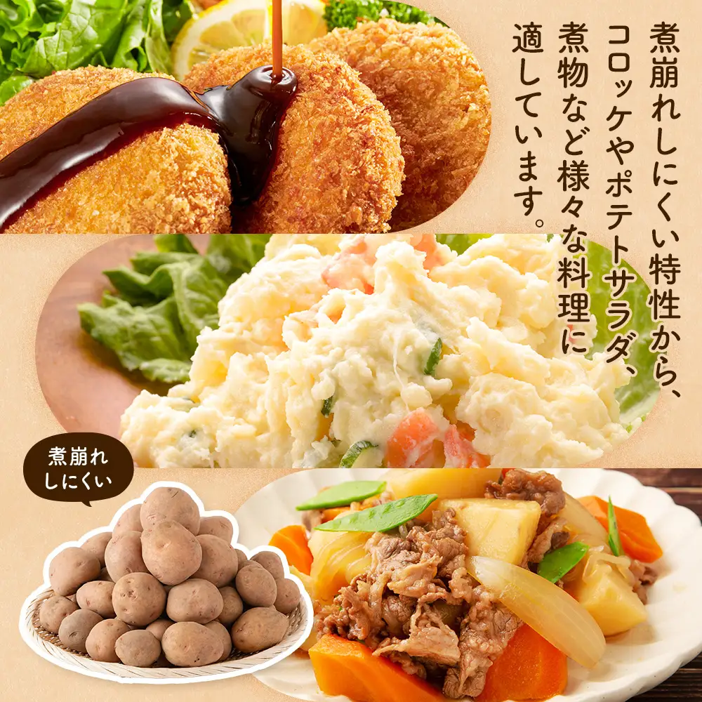 【数量限定】R8年産先行受付 じゃがいも（さやあかね） 有機栽培  10kg | ジャガイモ 芋 さやあかね 馬鈴薯 大容量 新鮮 野菜 煮物 コロッケ ポテトサラダ ポテト 保存 特産 産地直送 北海道 津別町 送料無料