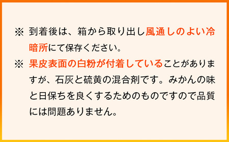 みかん 濃厚完熟温州みかん 約5kg
