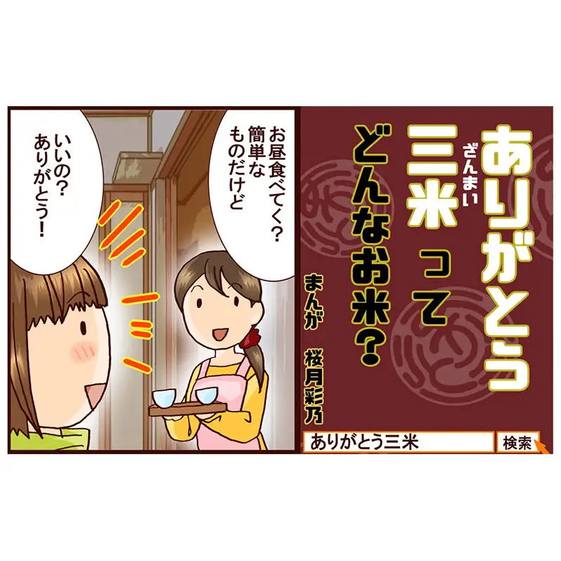 いのちの壱 新潟県産 白米 定期便 いのちの壱【5kg×4回】【定期便】【先行予約】