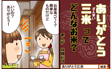 いのちの壱 新潟県産 白米 定期便 いのちの壱【5kg×12回】【定期便】