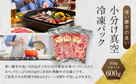 訳あり A5 飛騨牛 切り落とし 600g（3パック）| 小分け 飛騨牛 HF046