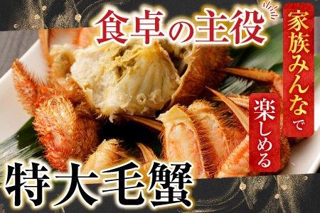 根室海鮮市場＜直送＞ボイル毛がに900g～1.1kg×1尾 F-28029