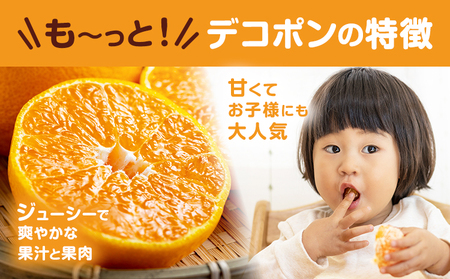 デコポン 約5kg 日本フルーツ株式会社 熊本県 荒尾市 《12月中旬-4月上旬頃出荷》 デコポン 果物 秀品 フルーツ スイーツ デザート ギフト ご贈答