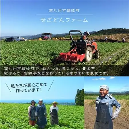 さつまいも「シルクスイート」5kg【1185796】