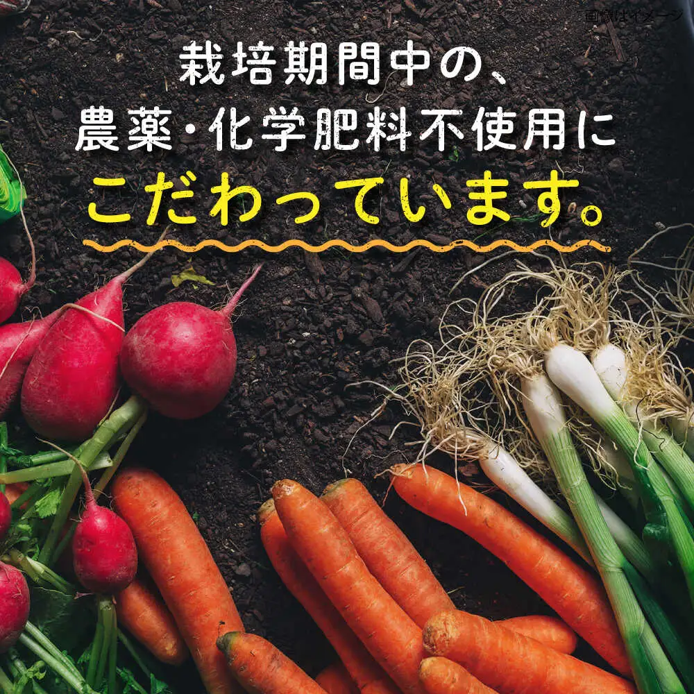 【全4回定期便】糸島産 肉 米 野菜 果物 厳選詰め合わせ MINORI BOX Sサイズ【季節ごとに年4回お届け】 糸島市 / emma.Inc / 米 肉 野菜 果物 詰め合わせ [AOP001]