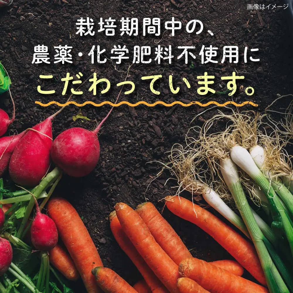 【全4回定期便】糸島産 肉 米 野菜 果物 厳選詰め合わせ MINORI BOX Mサイズ【季節ごとに年4回お届け】 糸島市 / emma.Inc / 米 肉 野菜 果物 詰め合わせ [AOP002]