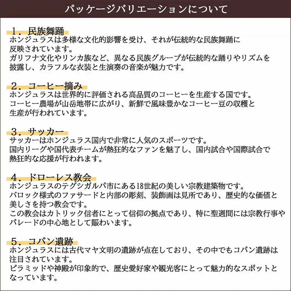【ギフト】自家焙煎 ホンジュラス スペシャルティコーヒー アーティスト・エディション ドリップパック 10個セット 化粧箱入り