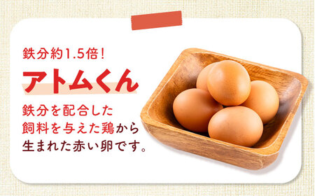 【全3回定期便】安田養鶏場の卵 アトムくん 30個入り 横須賀市 産地直送 割れ保証付き たまご 黄身 濃厚 卵 玉子 タマゴ 鶏卵 【安田養鶏場】[AKHN009]