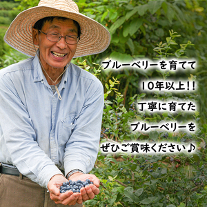 冷凍 ブルーベリー 800g (400g×2パック) 北海道産 フルーツ