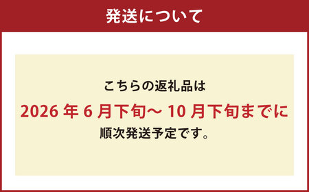 ミニトマト「北海道ルビー」約1kg（6パック） 野菜 高糖度 北海道 浦臼町 【2026年6月下旬 ～ 10月下旬迄発送予定】