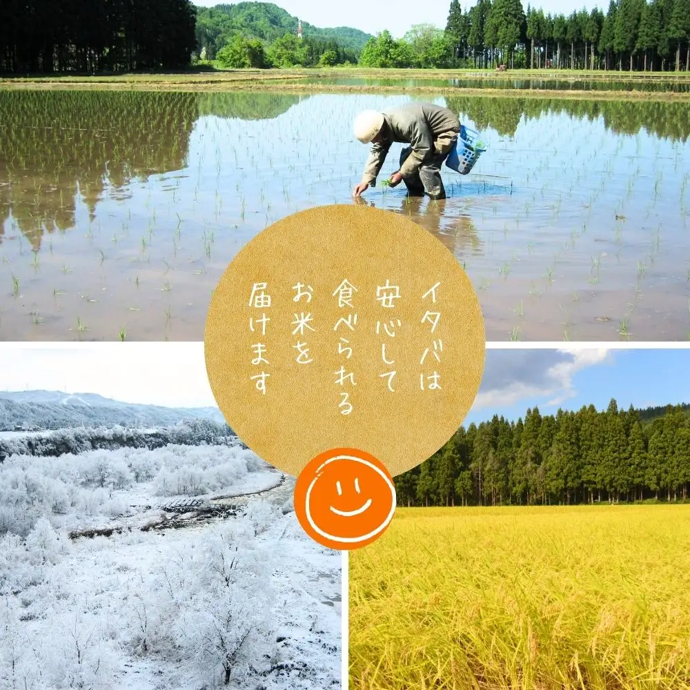 3ヶ月定期便 魚沼産コシヒカリ 金印 高食味米 5kg 有限会社イタバ |津南町 魚沼 令和7年