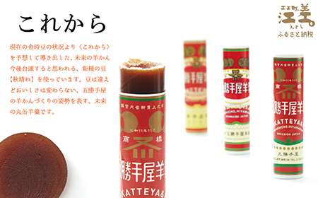 【数量限定】五勝手屋本舗『丸缶羊羹　過去・現在・未来』10本セット　五勝手屋羊羹の「かつて・いま・これから」　金時豆　大正金時　紅金時　秋晴れ　ようかん　復刻　保存料不使用　老舗　和菓子　銘菓　ギフト　贈答