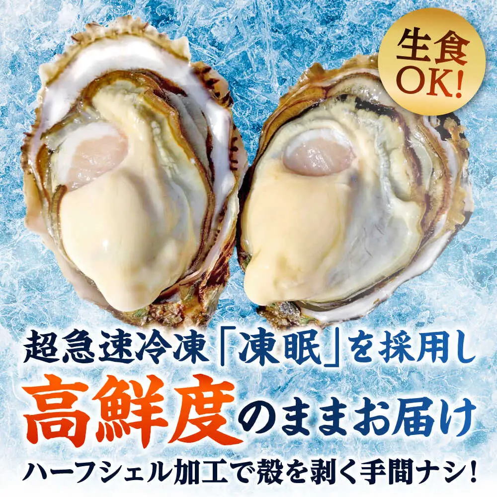 若狭うらら牡蠣 ハーフシェル 8個 生食可 / かき カキ 海鮮 小浜市 / 小浜海産物 【配送不可地域：北海道・沖縄・離島】[BFAA099]