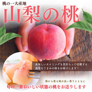 【来年2027年出荷分 先行予約】　山梨の桃　約2kg　白鳳 白桃　おまかせ　【tab0182】