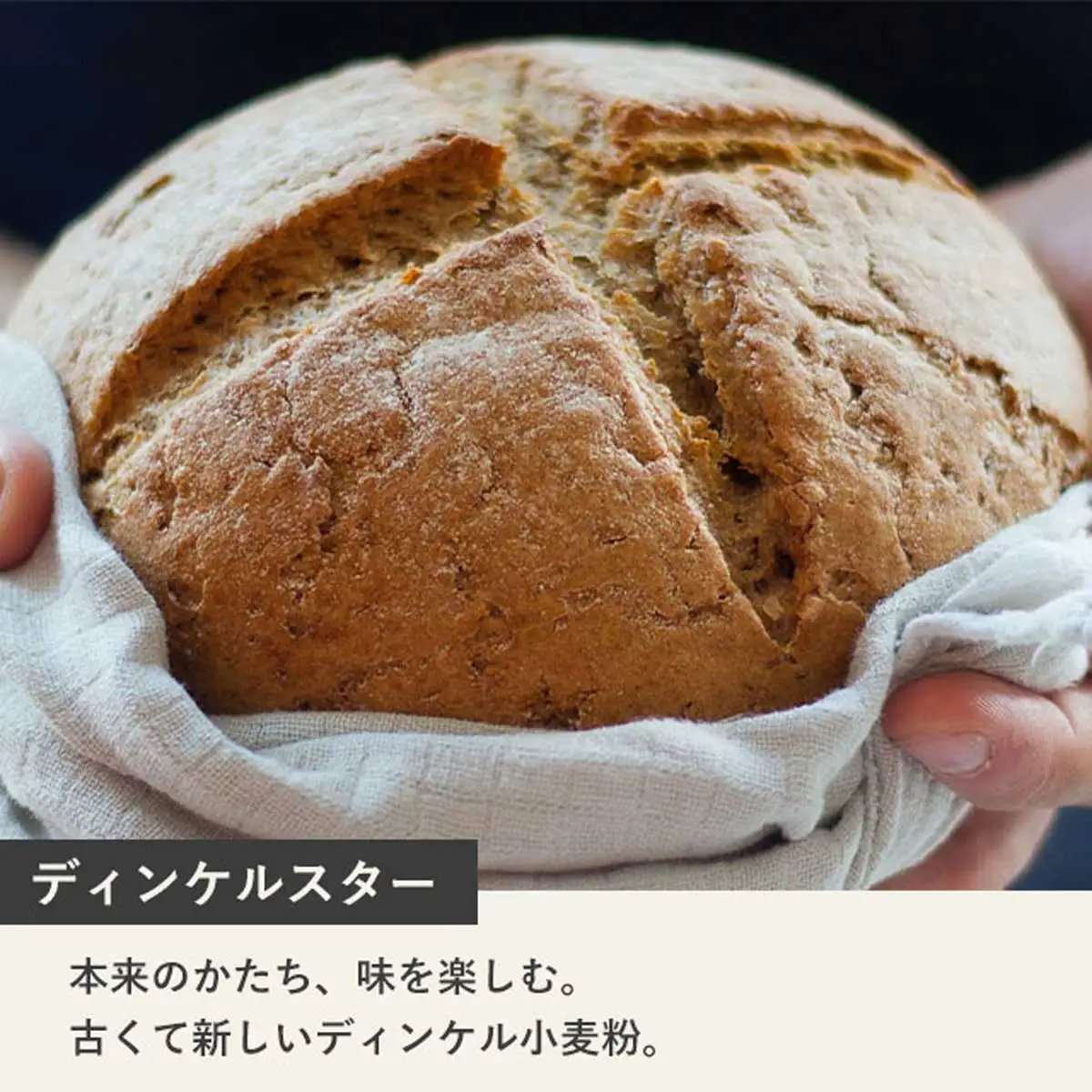【毎月定期便】北海道産 小麦粉 スペルト小麦全粒粉 ディンケルスター 2.5kg 全2回 MROBI017