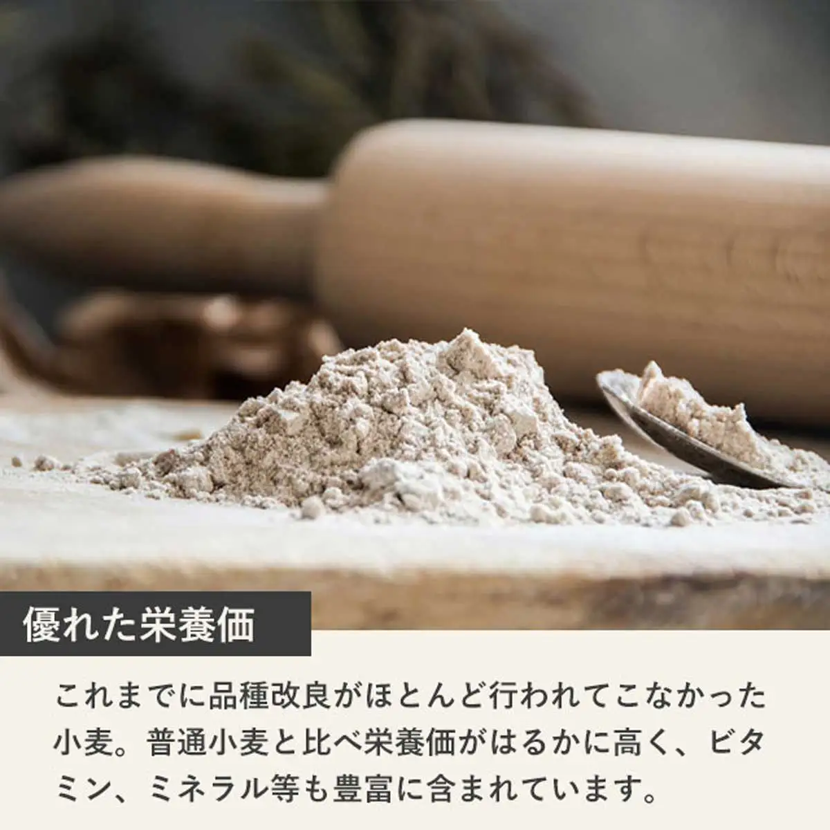 【毎月定期便】北海道産 小麦粉 スペルト小麦全粒粉 ディンケルスター 5kg 全4回 MROBI020