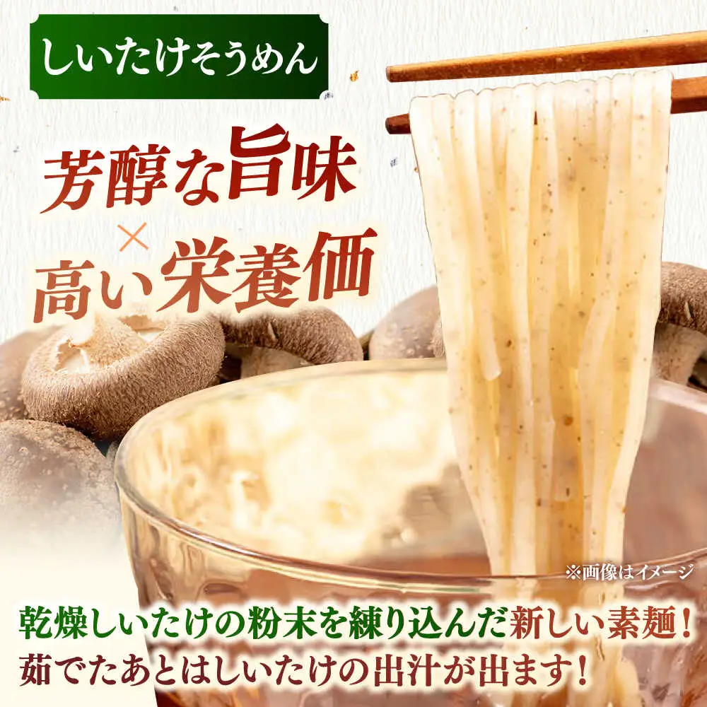 しいたけ素麺ときくらげ麺のセット（各2食分） ADBA017 素麺 そうめん 人気