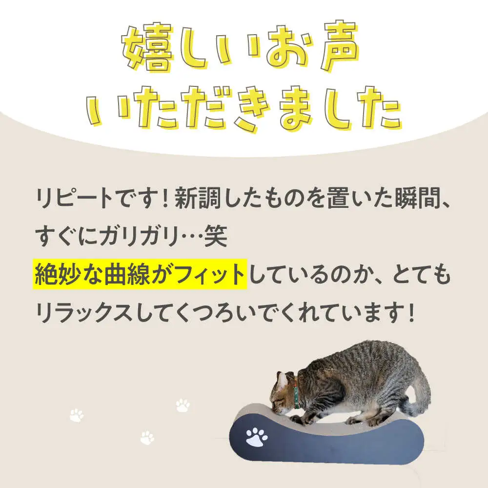 【全5色から選べる！】猫の爪とぎ ソファー2 桂川町/株式会社 大村紙工 [ADBC011] 