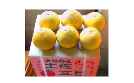【先行予約】　文旦 約5kg 5キロ L〜4Lサイズ〈2027年2月上旬から順次発送〉 土佐文旦 みかん 柑橘 ぶんたん ブンタン 果物 フルーツ デザート おやつ 三愛果樹園の土佐文旦 おいしい 美味しい【三愛果樹園】 [BQAO012]