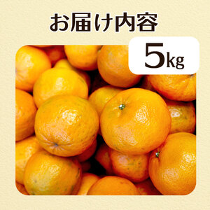 令和9年1月発送予定 規格外だけど規格外じゃない!? 訳あり 足摺ぽんかん 5kg デコポンの親 みかん 柑橘 果物 果実 ミカン ポンカン フルーツ おやつ デザート 5キロ 美味しい 井村農園【R01485】